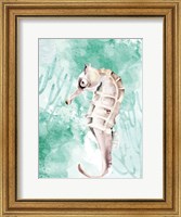 Framed Seahorse Swimming