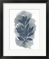 Framed Leaf Silhouette 1