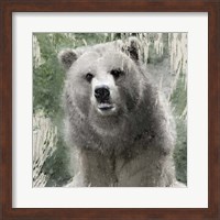 Framed Wildlife 1