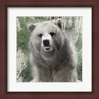 Framed Wildlife 1