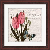 Framed Tulip Postcard 1