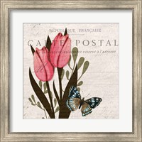 Framed Tulip Postcard 1