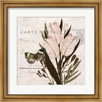 Framed Tulip Postcard 2