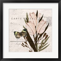 Tulip Postcard 2 Framed Print