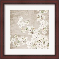 Framed Blossoms