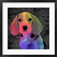 Framed Beagle