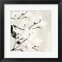 Framed Magnolias