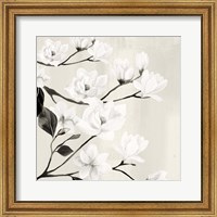 Framed Magnolias