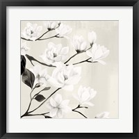 Framed Magnolias