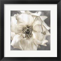 Framed Golden Rose