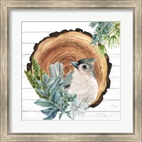 Framed Winter Birds 1