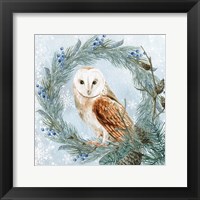 Winter Owl 1 Framed Print