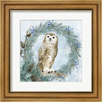 Framed Winter Owl 3