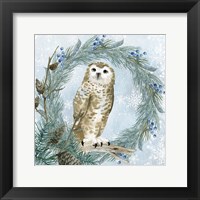 Winter Owl 3 Framed Print