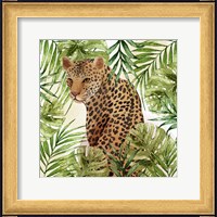 Framed Big Cats 3