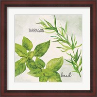 Framed Fresh Herbs 1