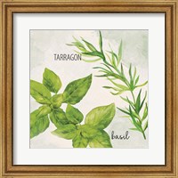 Framed Fresh Herbs 1