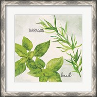 Framed Fresh Herbs 1