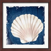 Framed Coastal Shells 2
