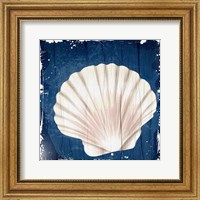 Framed Coastal Shells 2
