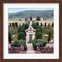 Framed Italia Gardens No. 12