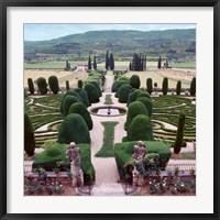 Framed Italia Gardens No. 12