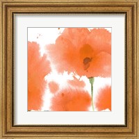 Framed Red Orange Poppies