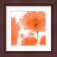 Framed Red Orange Poppies