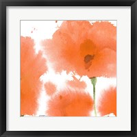 Framed Red Orange Poppies