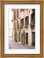 Framed Rustic Roman Street