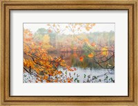 Framed Autumn Pond