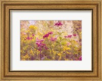 Framed Plum and Mustard Wildflowers