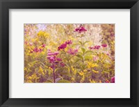 Framed Plum and Mustard Wildflowers