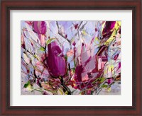 Framed Magnolia Blossoms