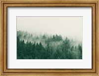 Framed Emerald Forest No. 1