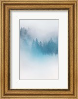 Framed Enchanted Forest No. 1