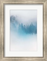 Framed Enchanted Forest No. 1