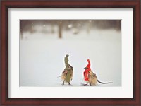 Framed Weathered Feathered Friends