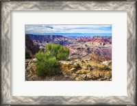 Framed Grand Canyon Medicine
