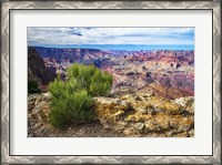 Framed Grand Canyon Medicine