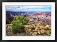 Framed Grand Canyon Medicine