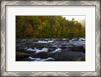 Framed Autumn on the Tellico River