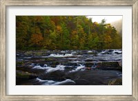 Framed Autumn on the Tellico River