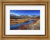 Framed Winter at the Rio Oxbow Ranch