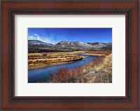 Framed Winter at the Rio Oxbow Ranch