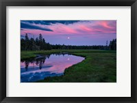 Framed Moon Over Bass Harbor Marsh