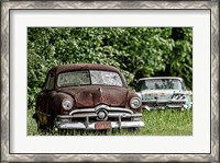 Framed 1950s Ford Cars