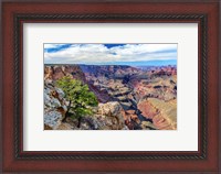 Framed Standing on Navajo Point-Grand Canyon National Park