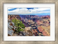 Framed Standing on Navajo Point-Grand Canyon National Park