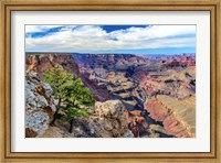 Framed Standing on Navajo Point-Grand Canyon National Park
